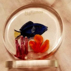 SOUVENIR OF BAHAMAS LUCITE PAPERWEIGHT OCEAN SEA LIFE FISH